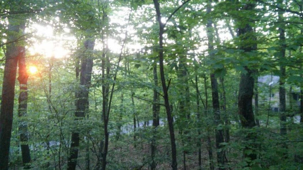 Wintergreen Mount Torry Furnace エクステリア 写真