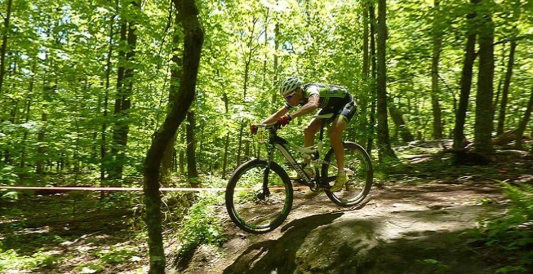 Wintergreen Mount Torry Furnace エクステリア 写真